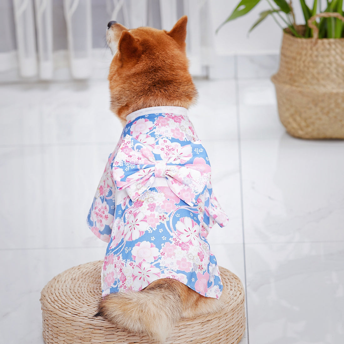Stylish Kimono-Inspired Clothes for Cats Fashionable Pet Outfit