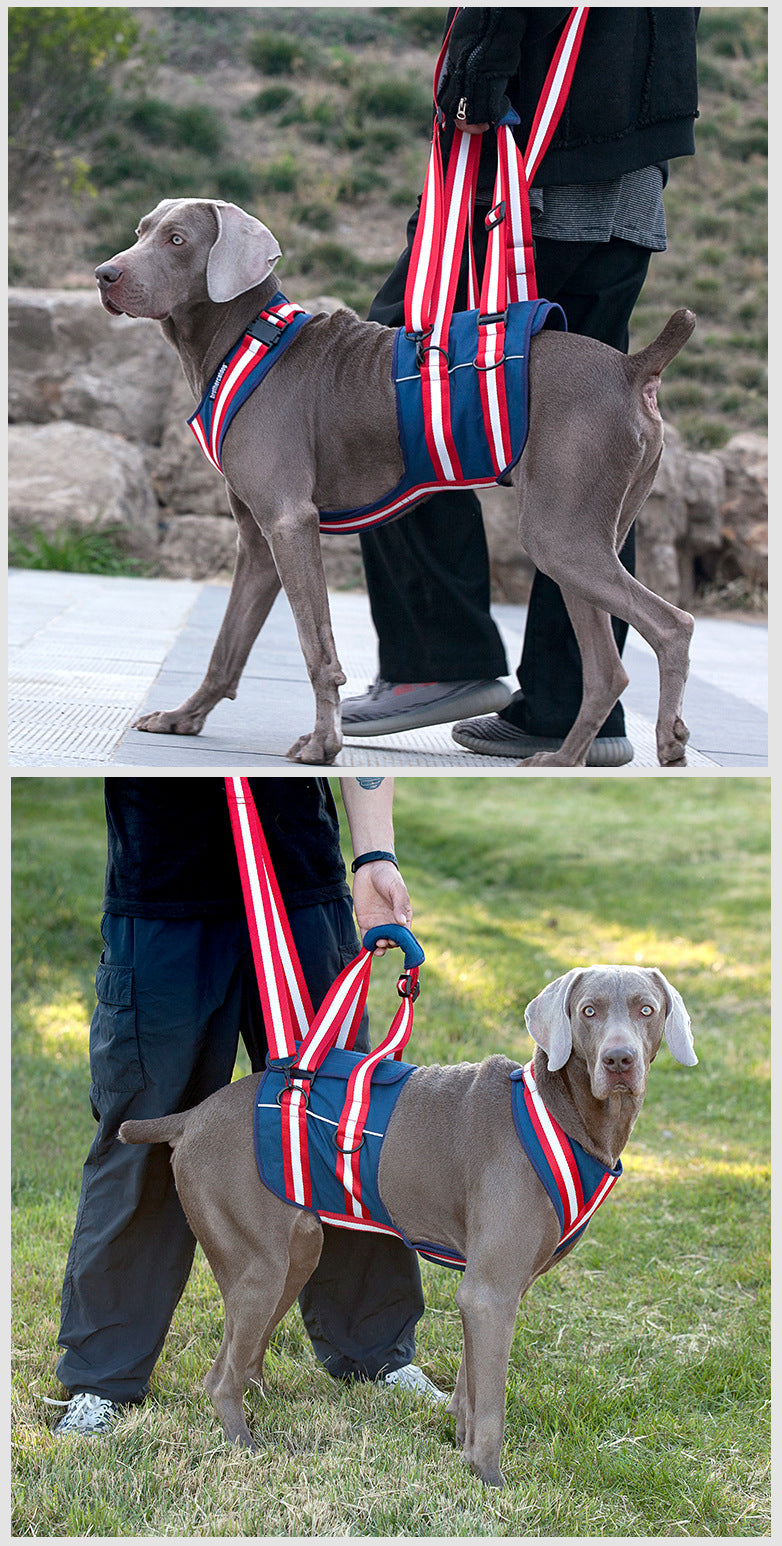 Supportive Harness & Leash for Elderly Dogs
