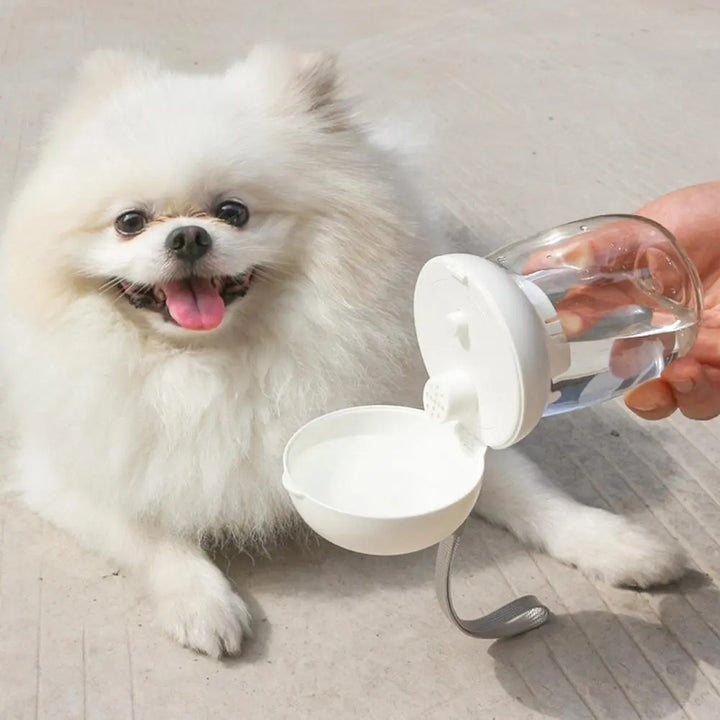 Portable Pet Water Bottle with Bowl and Lanyard for Cats & Dogs