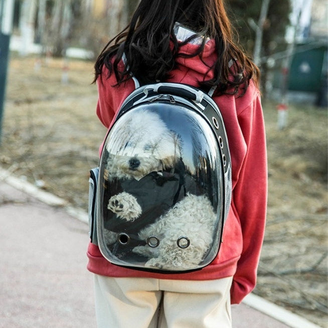Rear-Expandable Transparent Mesh Backpack for Cats and Small Dogs