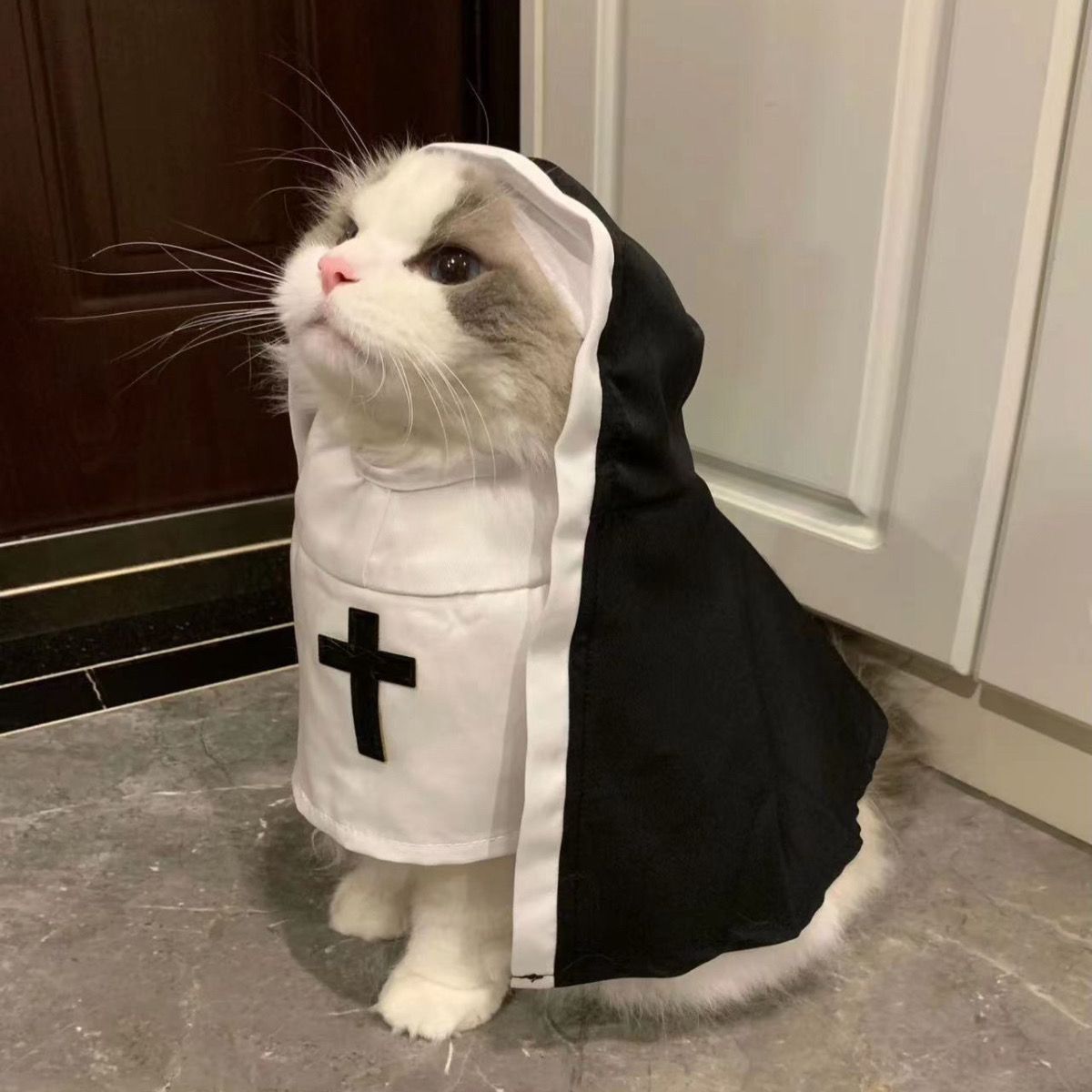 Halloween Cosplay Dog Costume for Small Medium Dogs Black White Cloak