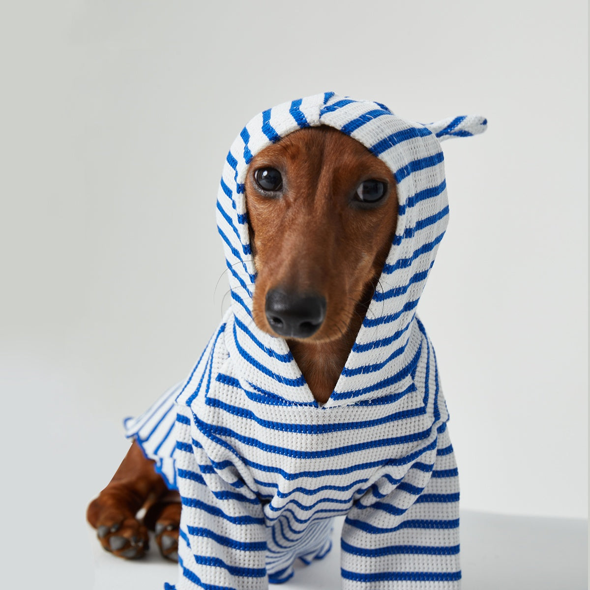 Striped Hooded Two-Leg Cat Clothes for Dogs and Cats