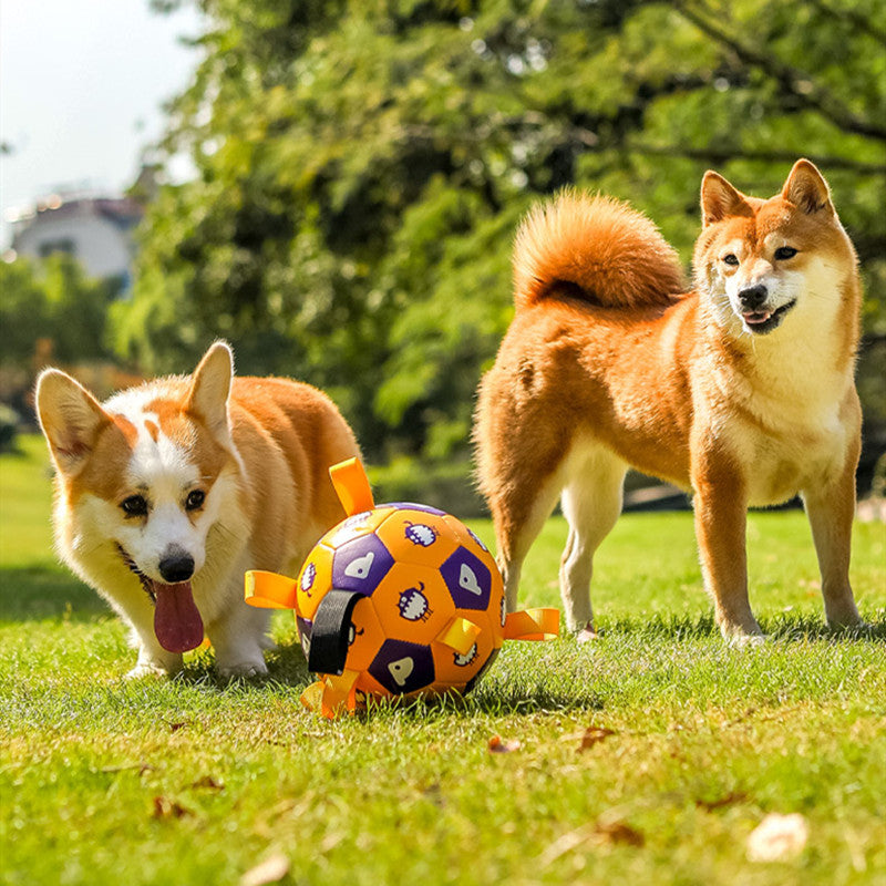 Interactive Football Dog Toy for Outdoor Molar Chewing