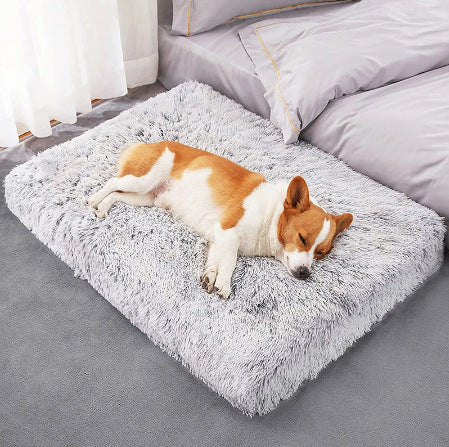 Plush Square Pet Sofa Bed with Memory Foam for Deep Sleep