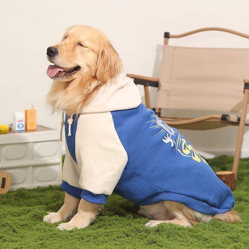 Warm and Cozy Sweater for Large Border Collie Dogs
