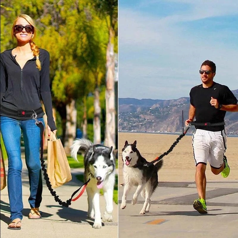 Adjustable Harness and Collar Set with Jogging-Friendly Pet Leash