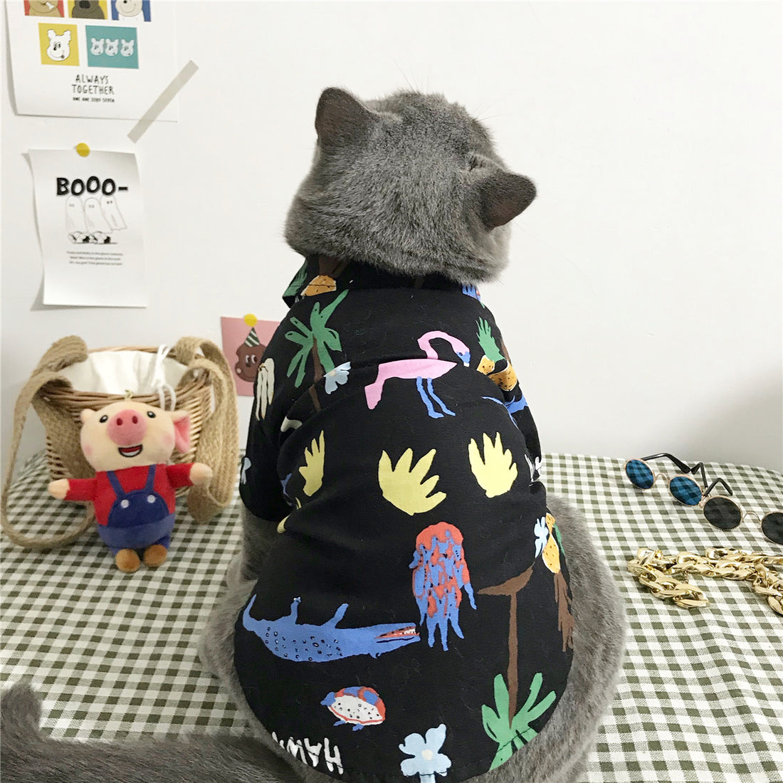 Cute and Cozy Cat Clothes Perfect for Every Season Wear
