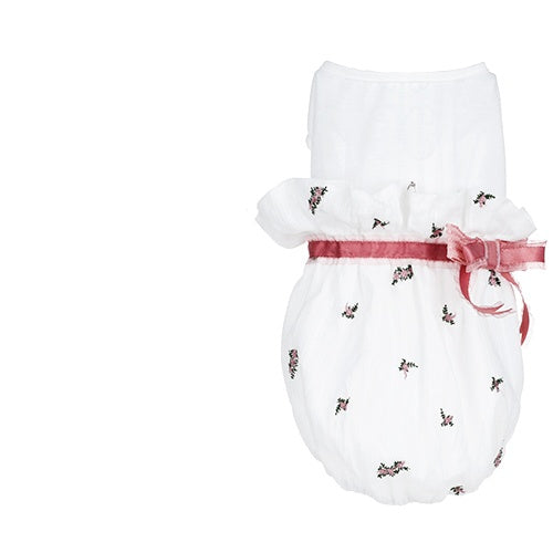 Fashionable and Comfortable Clothes Designed for Your Pet Cat