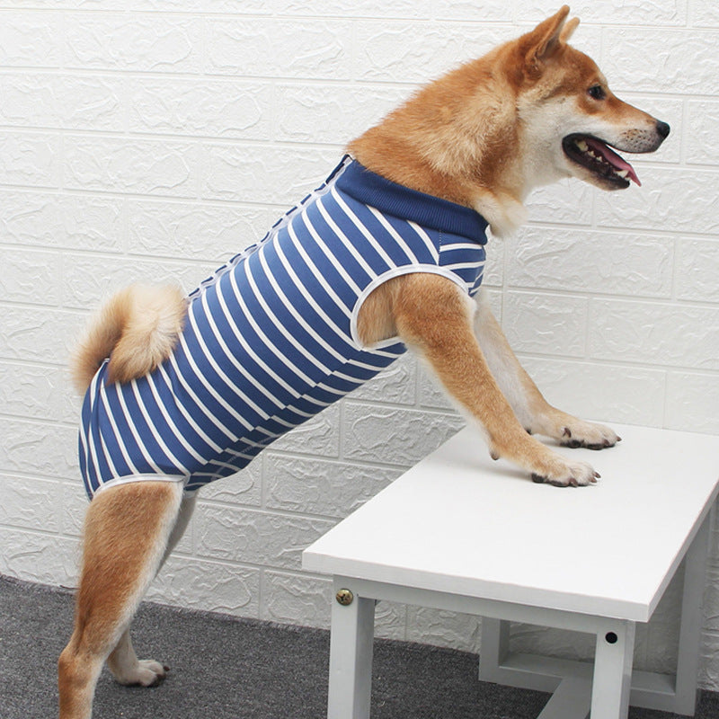 Fashionable and Colorful Pet Clothes Showing Unique Personality Style