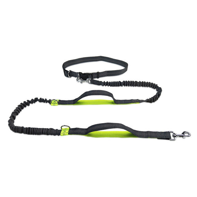 Adjustable Harness and Collar Set with Jogging-Friendly Pet Leash