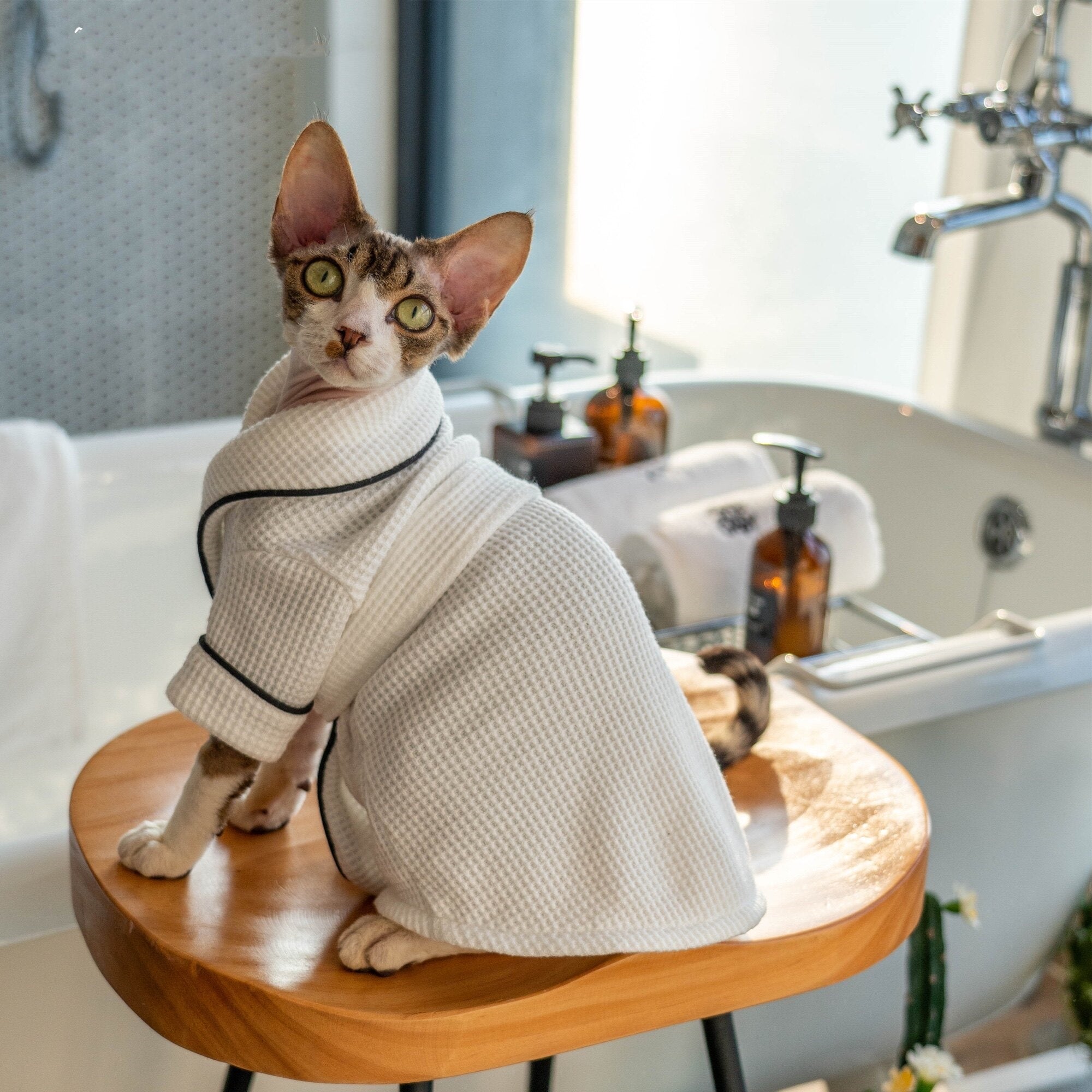 Soft Highly Absorbent Pet Bathrobe and Towel