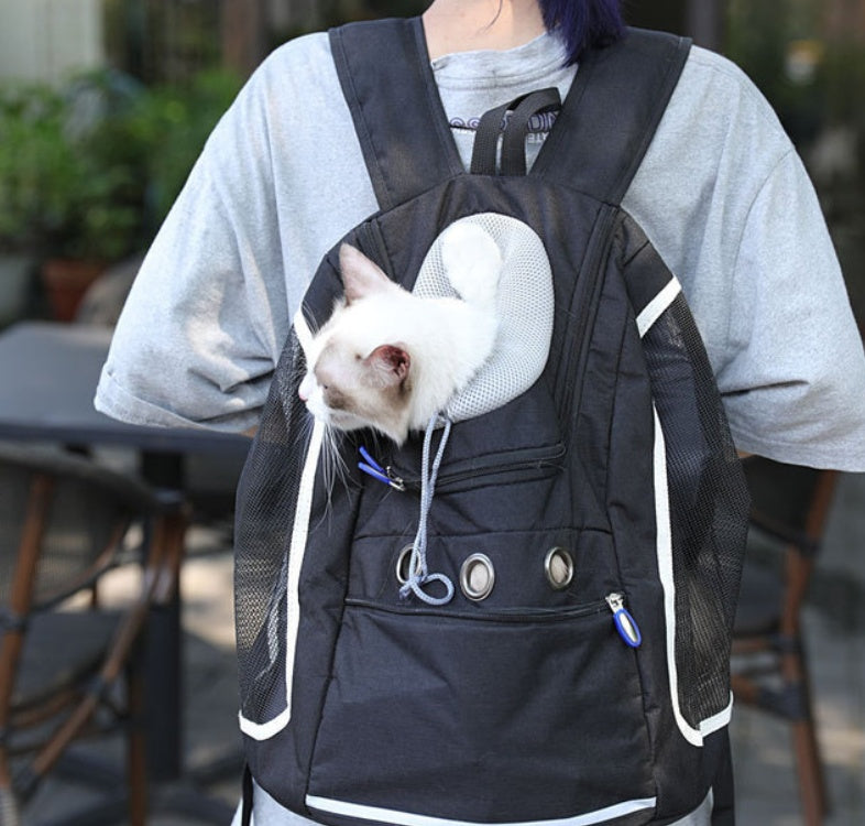 Portable Cat Backpack for Safe and Comfortable Outings