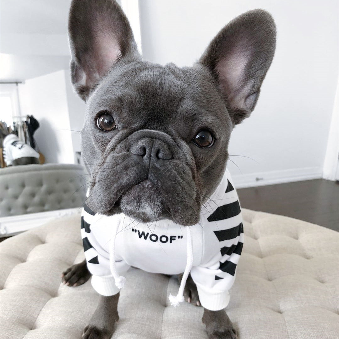 Corgi and Schnauzer Three-Stripe Dog Sweater Stylish Autumn Winter Wear