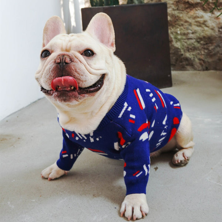 Pug-Style Sweater for Dogs