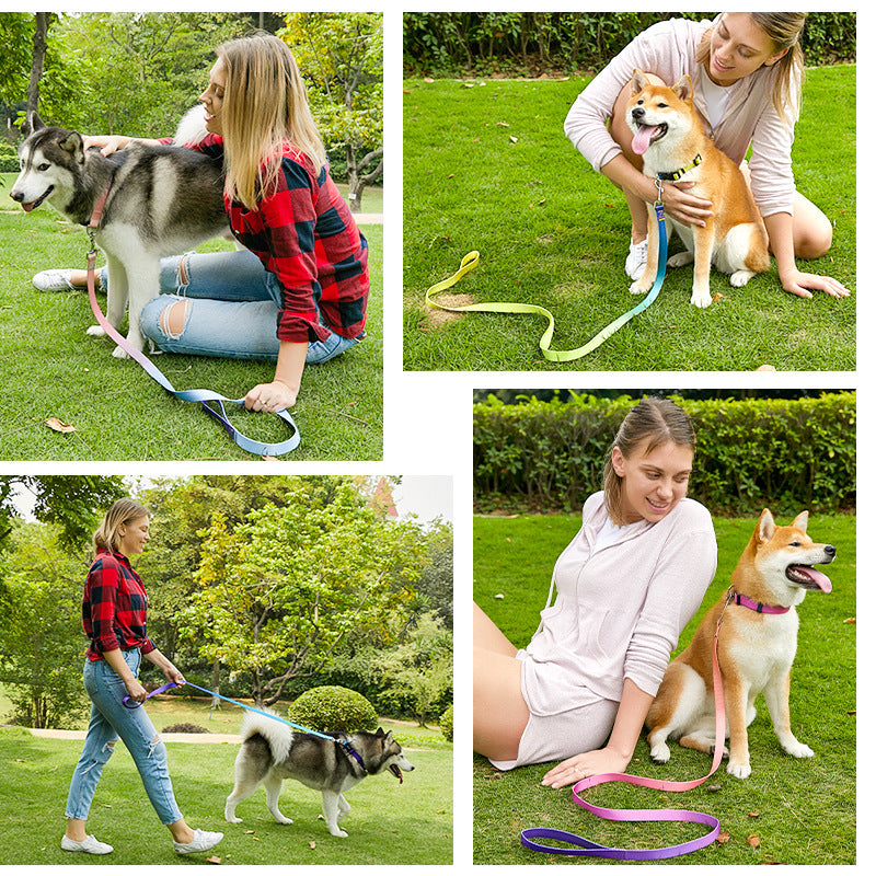 Gradient Solid Color Collar and Leash Set for Dogs