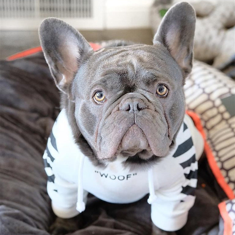 Corgi and Schnauzer Three-Stripe Dog Sweater Stylish Autumn Winter Wear