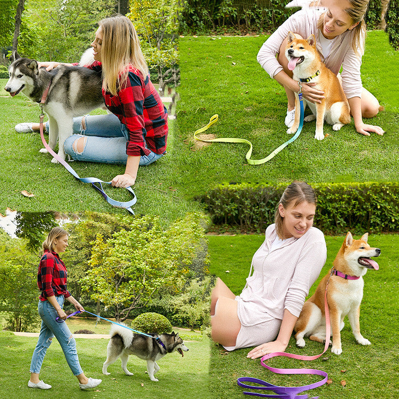 Gradient Solid Color Collar and Leash Set for Dogs