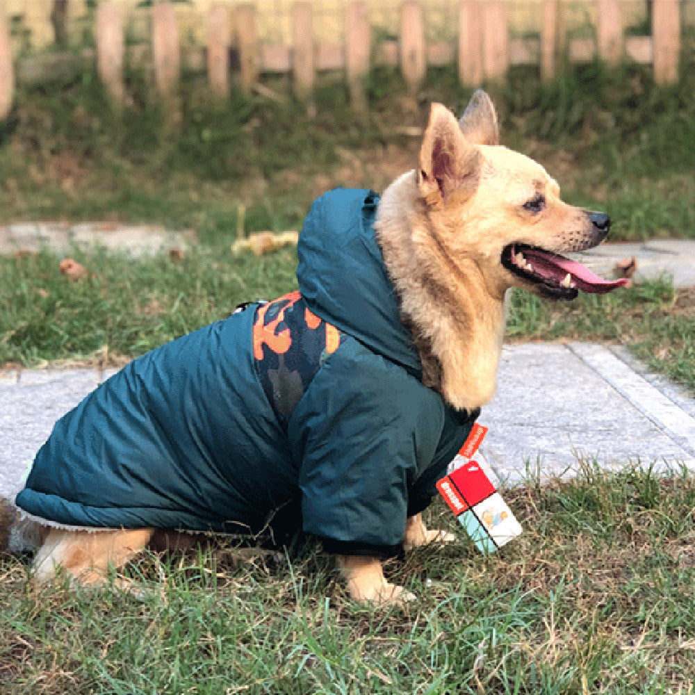 Warm Pet Coat with Traction Rope for Outdoor Adventures
