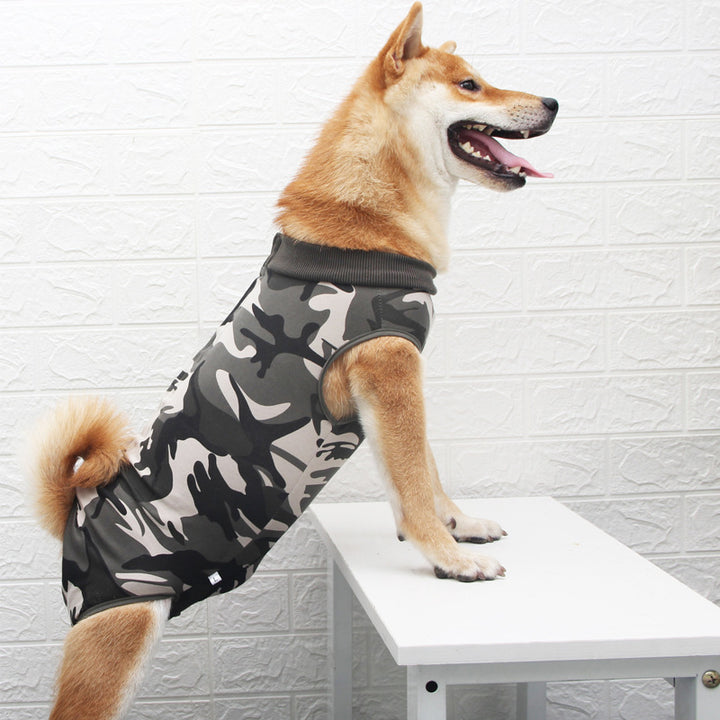 Fashionable and Colorful Pet Clothes Showing Unique Personality Style