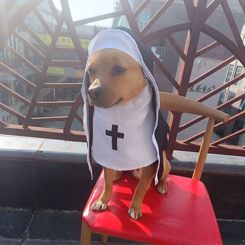 Halloween Cosplay Dog Costume for Small Medium Dogs Black White Cloak