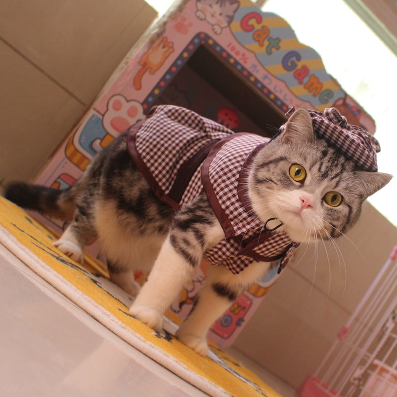 Detective Cloak & Hat Costume for Cats & Dogs