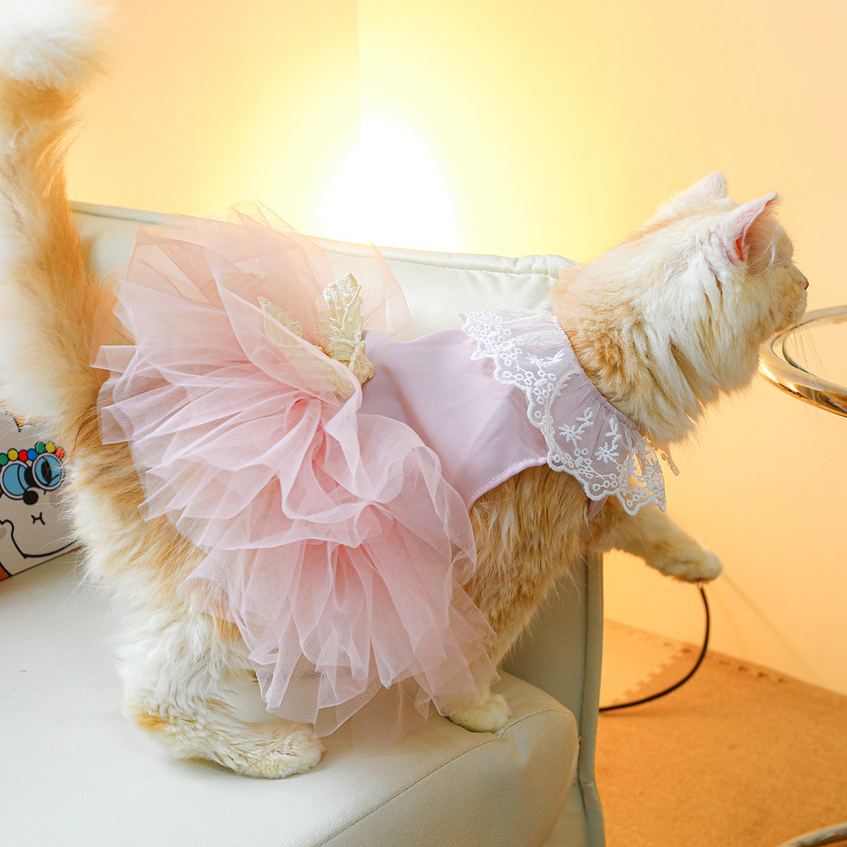 Lace-Designed Cat Clothes for Stylish and Elegant Pets