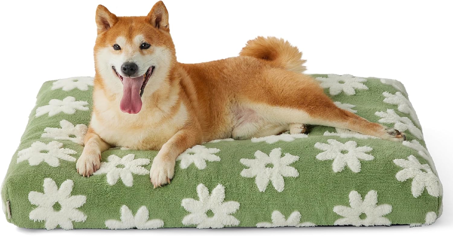 Large Shredded Foam Dog Bed with Removable Cover, Anti-Slip