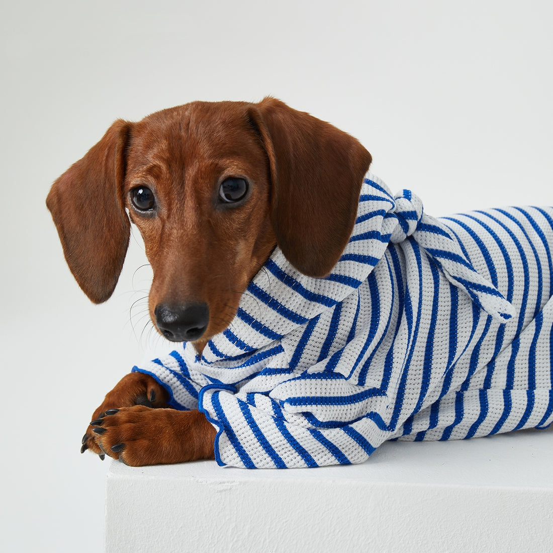 Striped Hooded Two-Leg Cat Clothes for Dogs and Cats