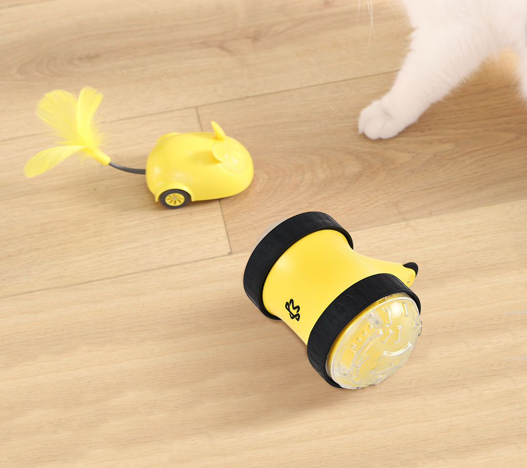 Remote-Controlled Food-Dispensing Pet Car
