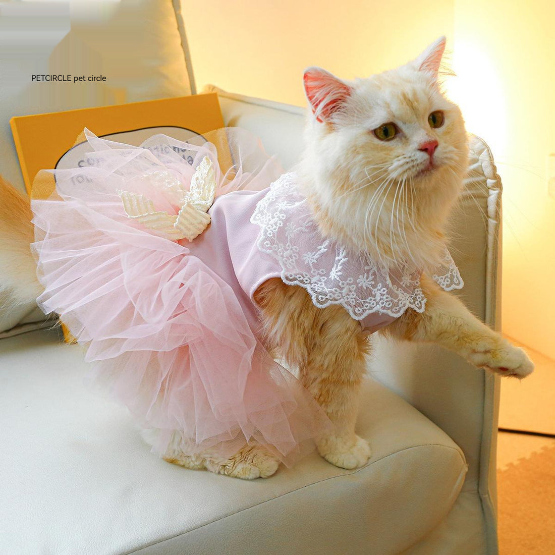 Lace-Designed Cat Clothes for Stylish and Elegant Pets