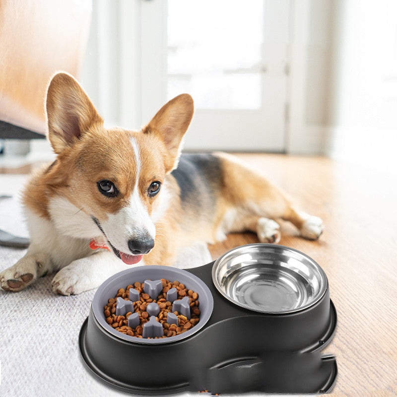 Removable Slow Feeding Bowl for Cats & Dogs