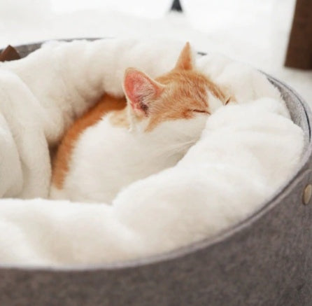 Ultra-Soft Plush Donut Cat Bed for Cozy Comfortable Sleep Everywhere