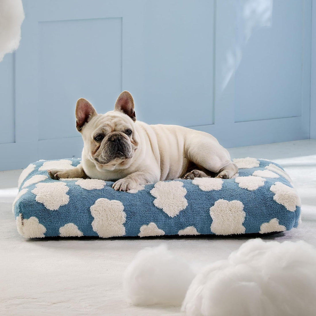 Large Shredded Foam Dog Bed with Removable Cover, Anti-Slip