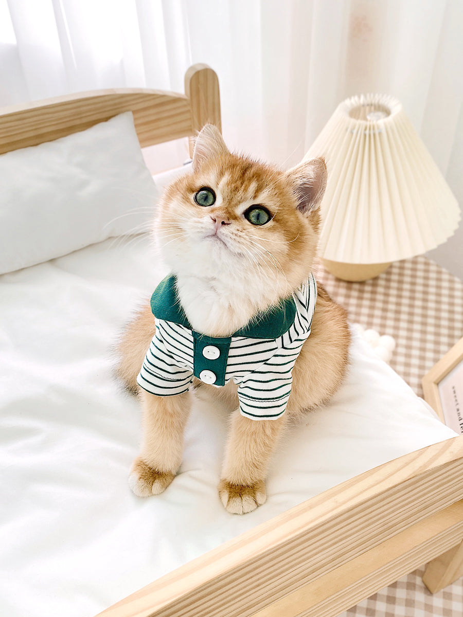 Adorable Striped Polo Shirt for Cats Keeping Them Stylish Comfortable
