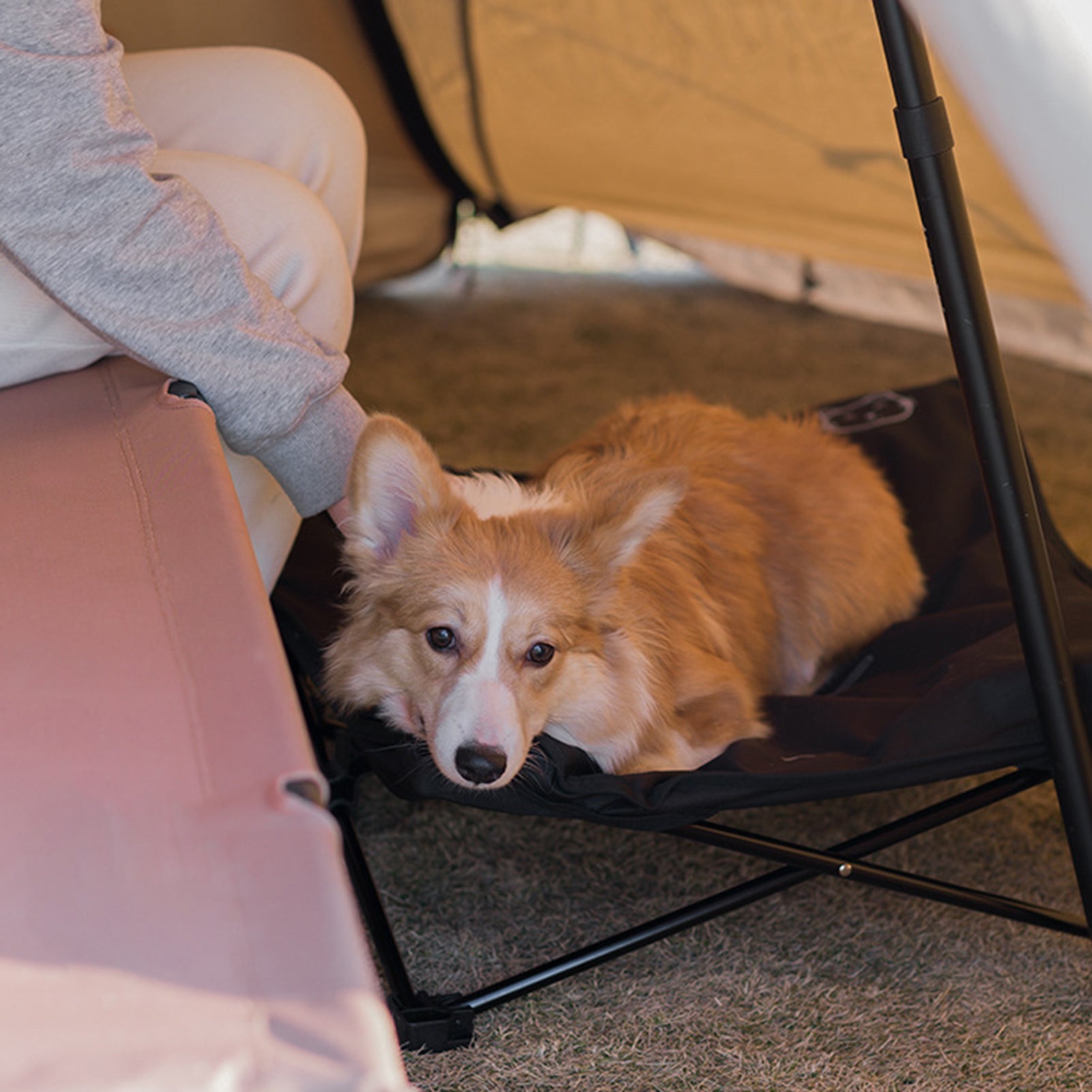 Outdoor Foldable Pet Bed with Detachable Washable Cover