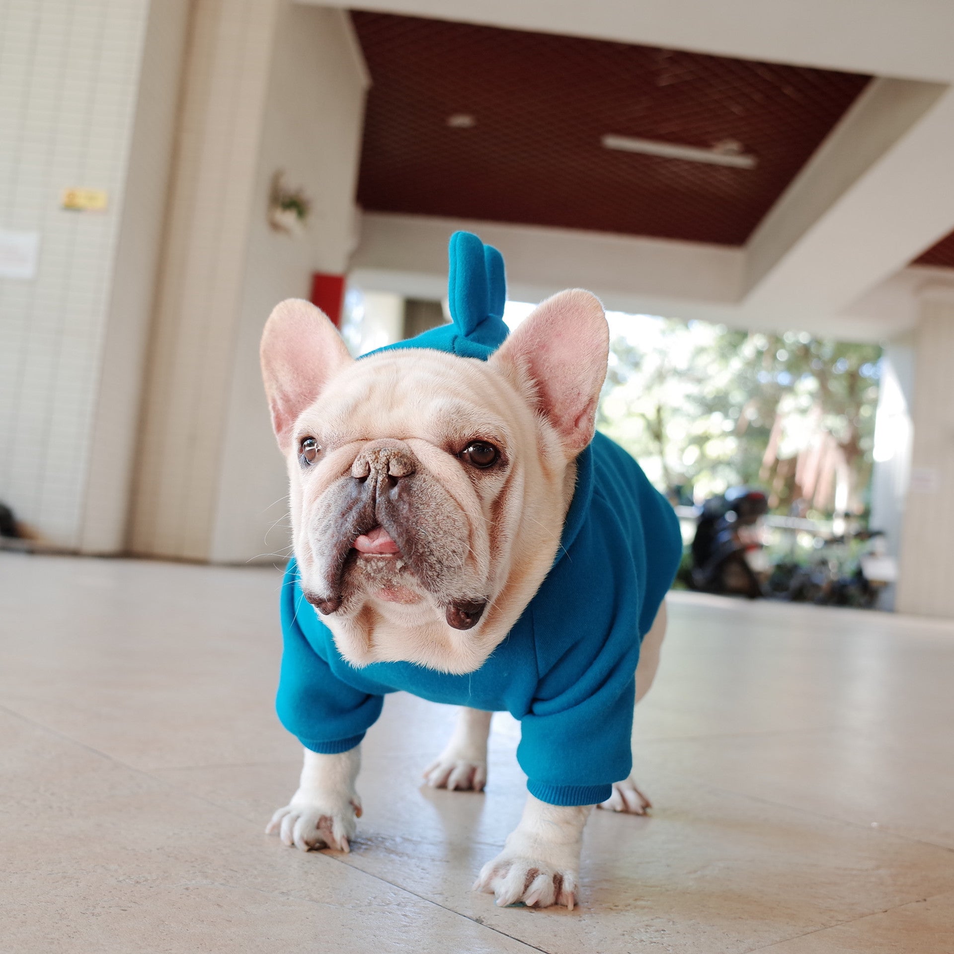 Solid Color Fleece Hoodie for Pets