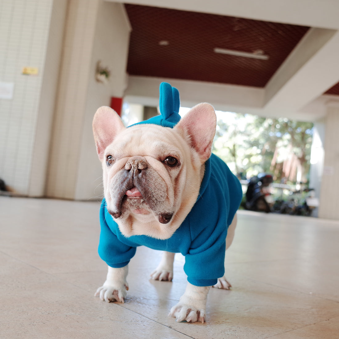 Solid Color Fleece Hoodie for Pets