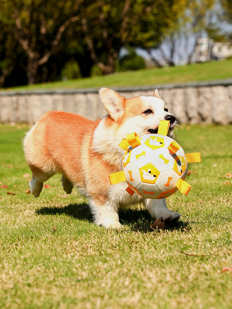 Interactive Football Dog Toy for Outdoor Molar Chewing