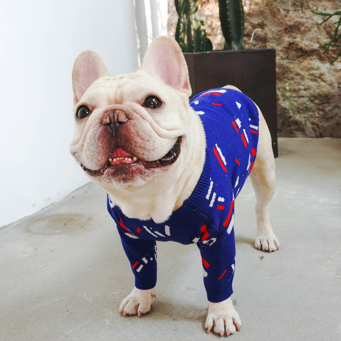 Pug-Style Sweater for Dogs