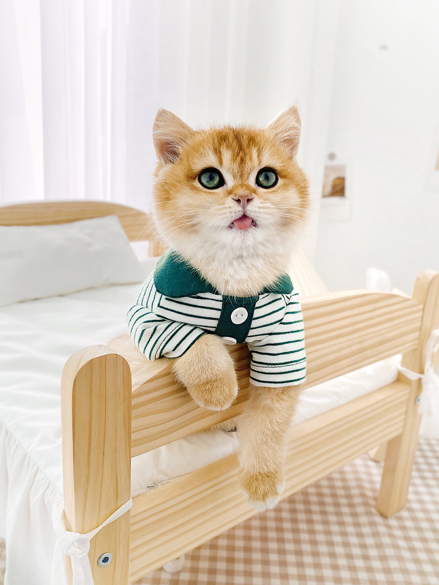 Adorable Striped Polo Shirt for Cats Keeping Them Stylish Comfortable