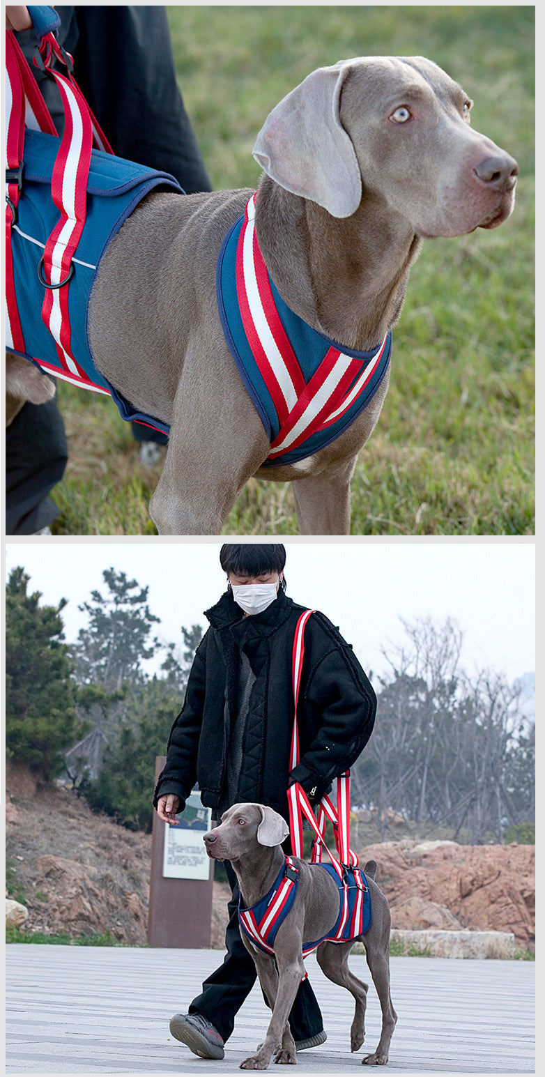 Supportive Harness & Leash for Elderly Dogs