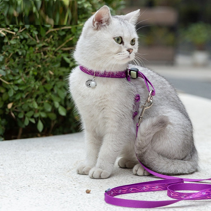Chest Strap Harness with Bell and Leash for Small Dogs and Cats