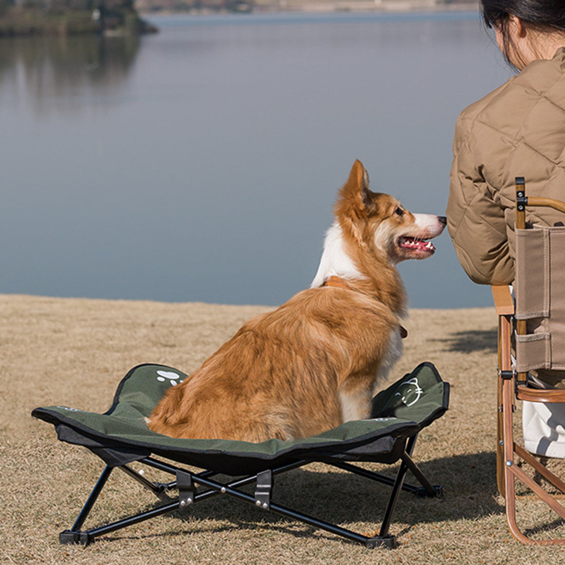 Outdoor Foldable Pet Bed with Detachable Washable Cover