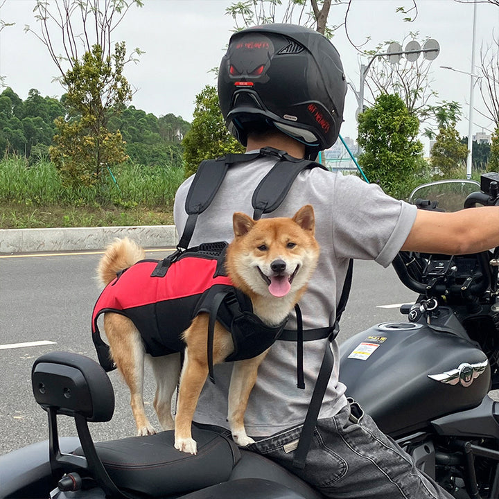Multifunctional Outdoor Pet Backpack for Airborne and Walking Use