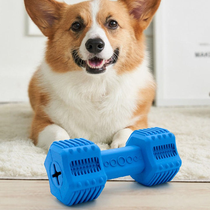 Rubber Interactive Dog Toy for Molar Chewing & Food Dispensing
