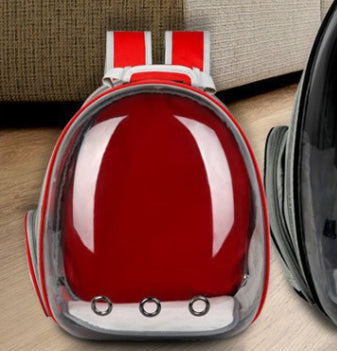 Rear-Expandable Transparent Mesh Backpack for Cats and Small Dogs