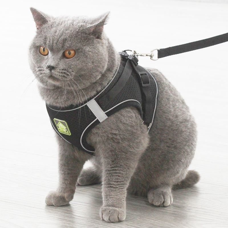 Breathable Anti-Escape Vest and Leash for Safe Cat Walking