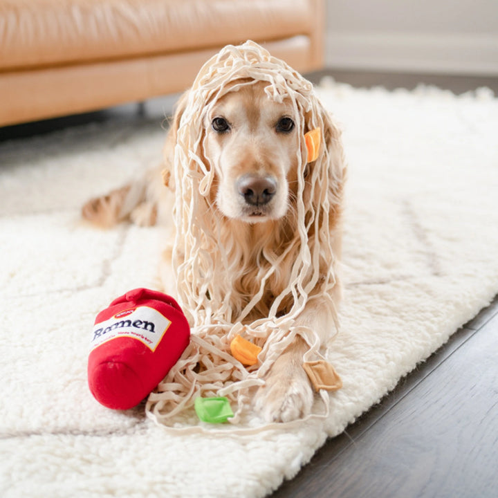 Ramen-Scented Food-Dispensing Interactive Pet Toy