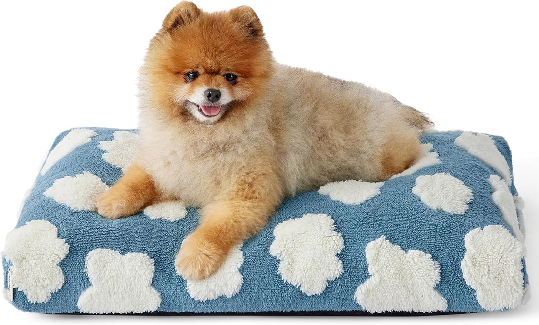 Large Shredded Foam Dog Bed with Removable Cover, Anti-Slip