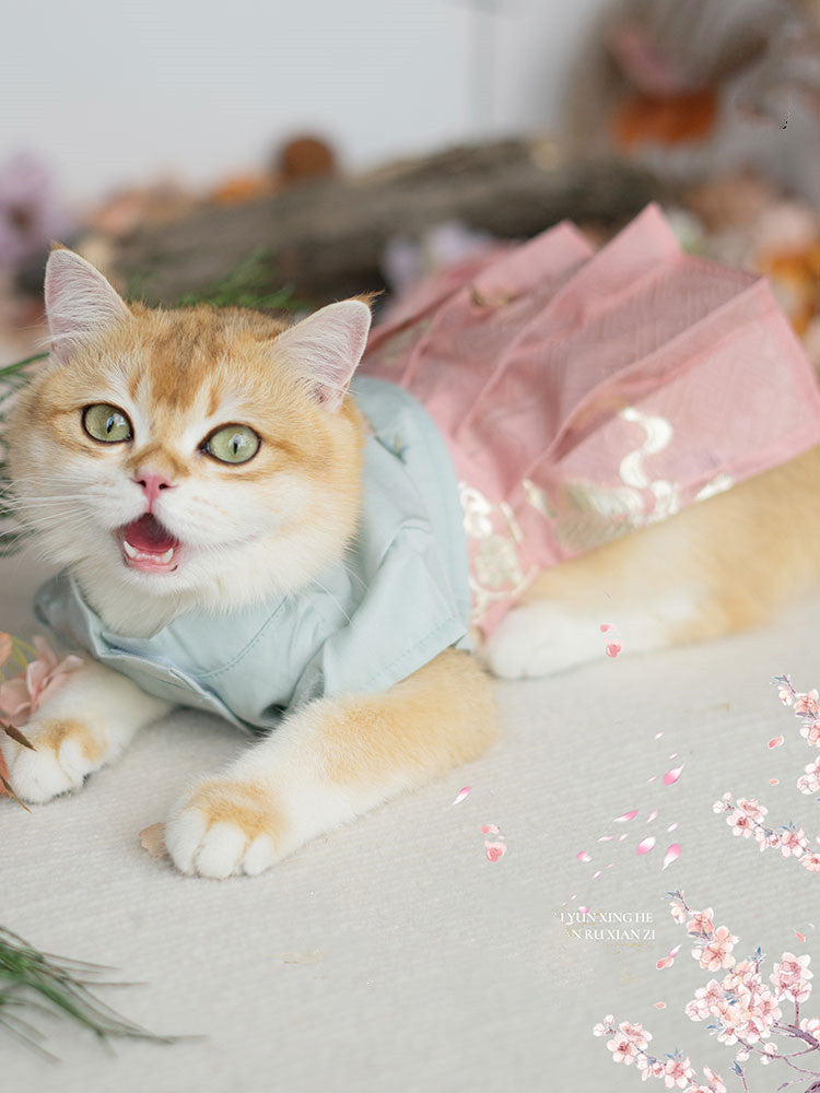 Traditional Hanfu-Style Clothes for Cats and Dogs Skirt Outfit